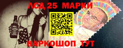 индика Пенза