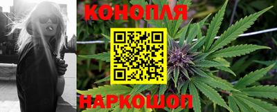 прущие грибы Партизанск