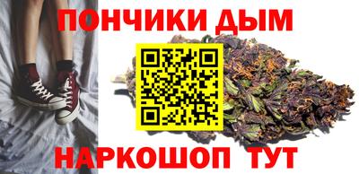 индика Пенза