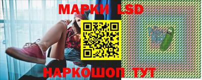 индика Пенза