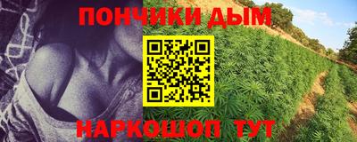индика Пенза