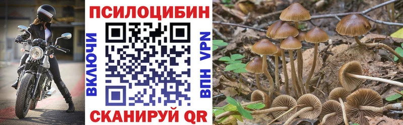 Галлюциногенные грибы Psilocybine cubensis  Заинск 